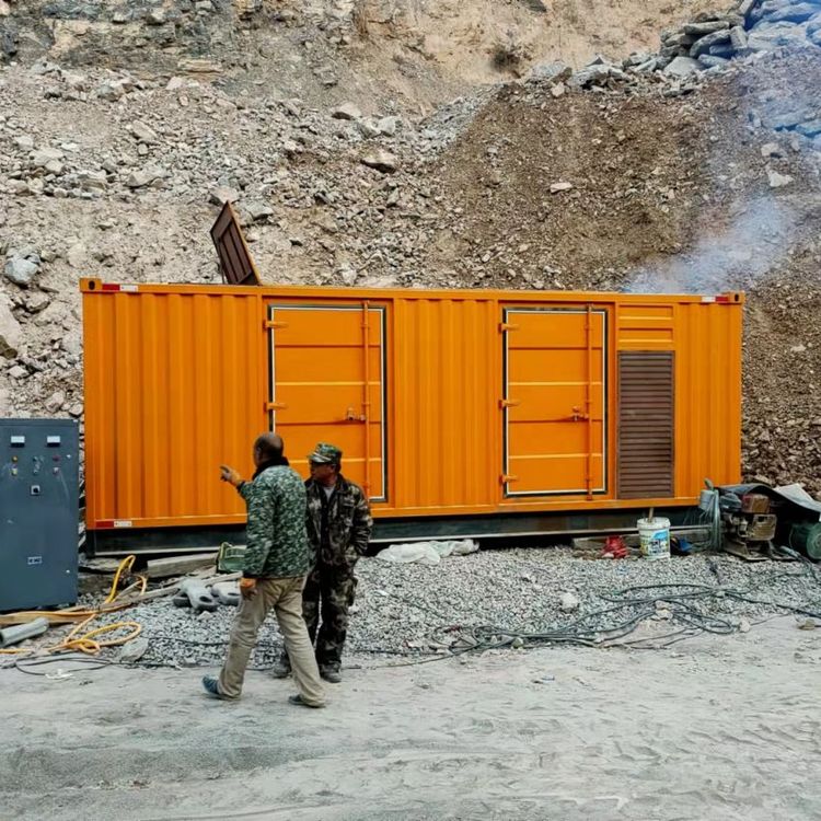 衡东如何选择适合自己的 800KW 柴油发电机组?
